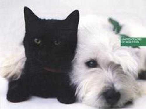 In Association with allwall.com